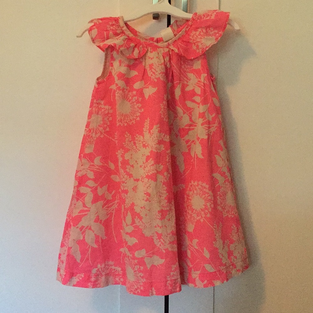 Baby Gap Dress